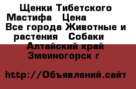 Щенки Тибетского Мастифа › Цена ­ 60 000 - Все города Животные и растения » Собаки   . Алтайский край,Змеиногорск г.